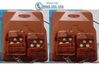 Điều Khiển Cửa Cuốn YH
